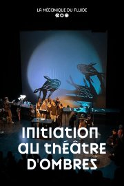 Visuel_theatredombres_Web