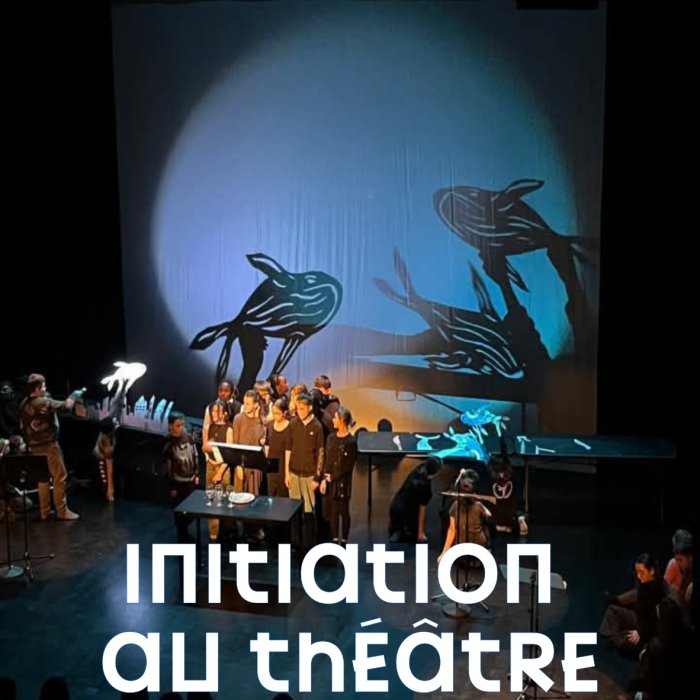 Visuel_theatredombres_Web.jpg